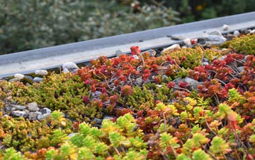 the cost of Littlethorpe green roof installation