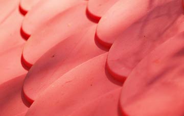 Littlethorpe plastic roof costs