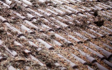 Littlethorpe roof cleaning companies